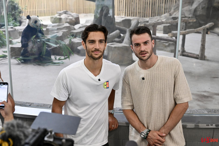 上13号球 上13号球